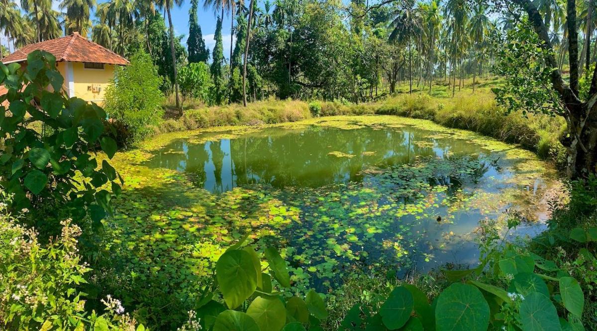 Beautiful Farm House & Villa - Monappa Estate - Top Rated Udupi Eksteriør bilde