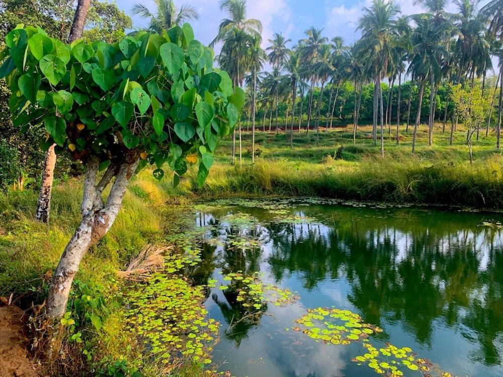 Beautiful Farm House & Villa - Monappa Estate - Top Rated Udupi Eksteriør bilde