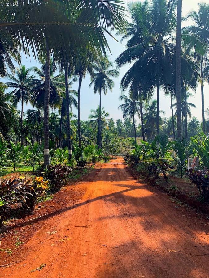 Beautiful Farm House & Villa - Monappa Estate - Top Rated Udupi Eksteriør bilde